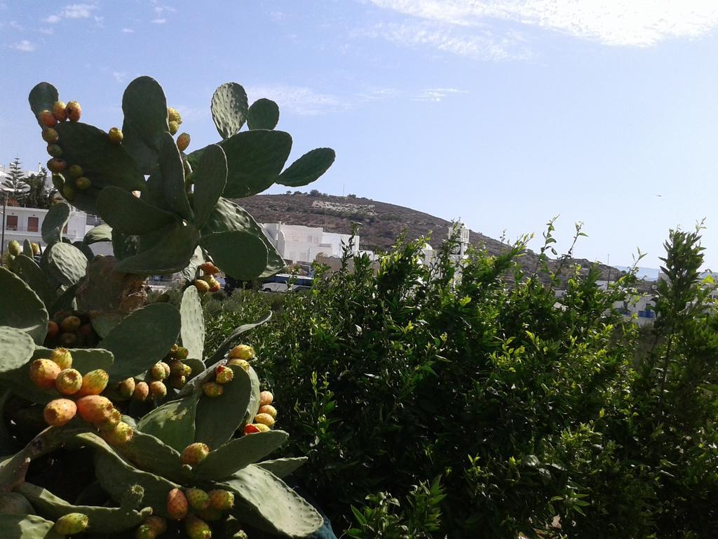 Apartmán Matilda Milos - Cycladic Living Triovasálos Exteriér fotografie