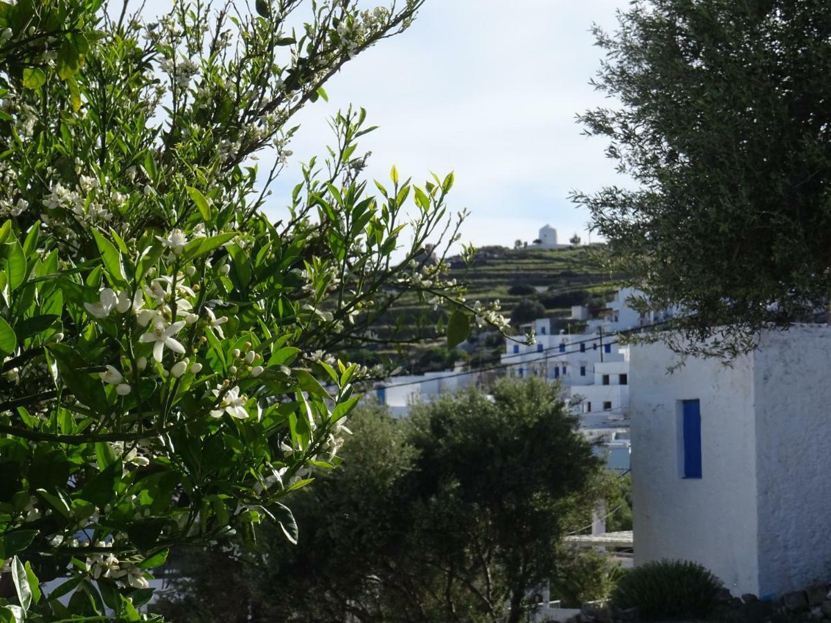 Apartmán Matilda Milos - Cycladic Living Triovasálos Exteriér fotografie